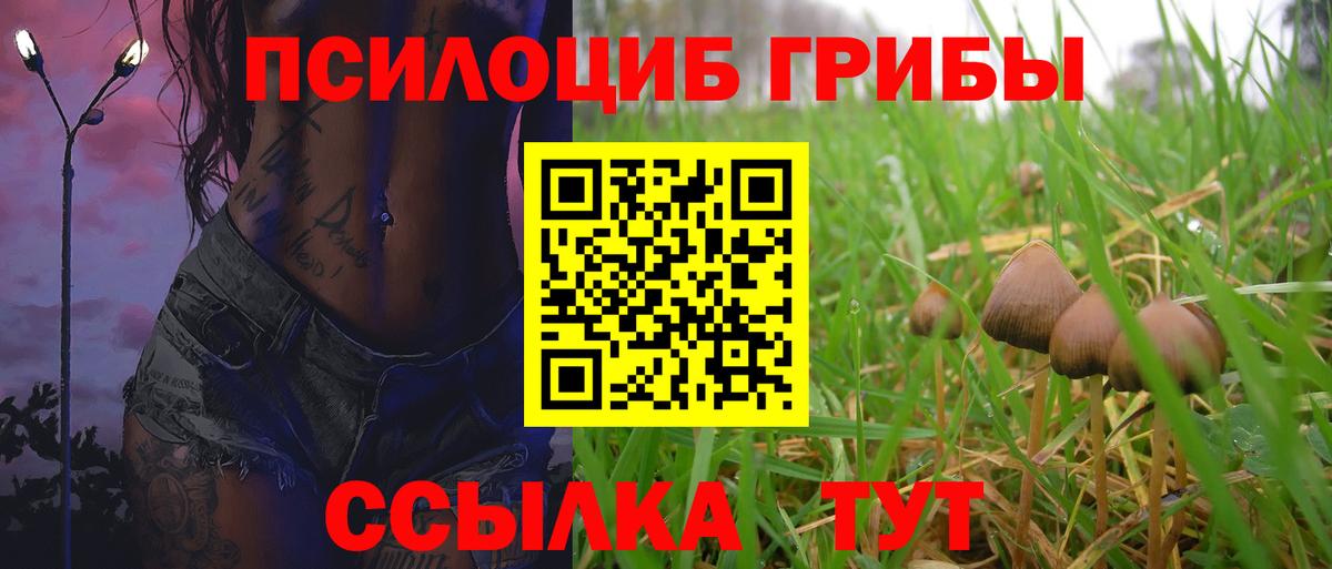 Галлюциногенные грибы Psilocybe  Вход с VPN  Псилоцибиновые грибы мицелий  Заволжье 