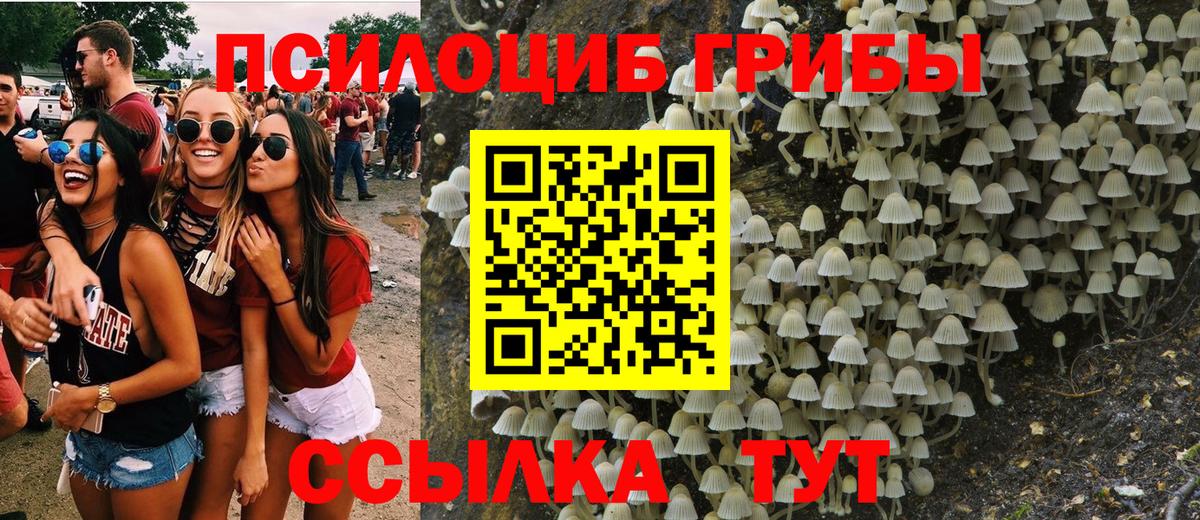 Псилоцибиновые грибы Cubensis Заволжье