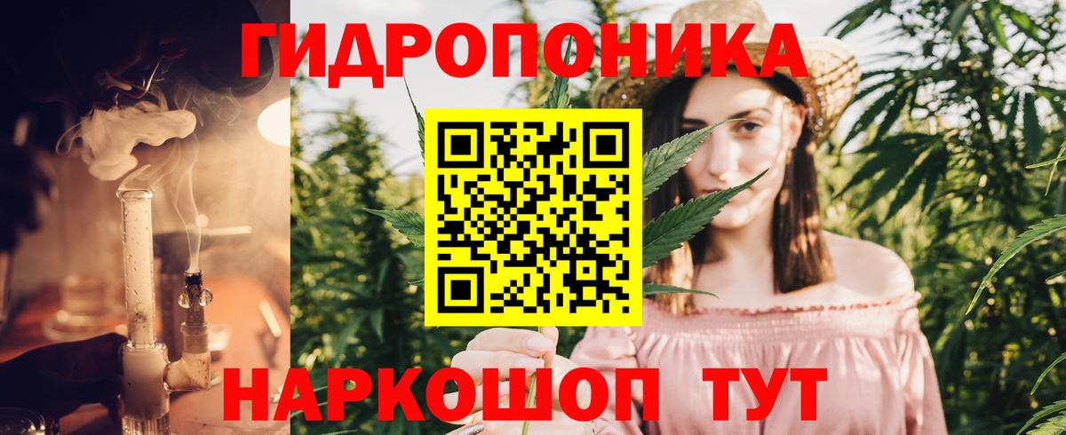 Конопля OG Kush Заволжье